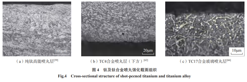 1667359656528329.jpg 1652567970442348.jpg