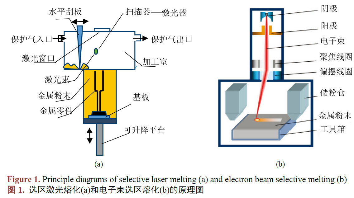 1683339112553684.jpg t1.jpg