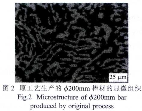 1687085731937074.jpg t2.jpg